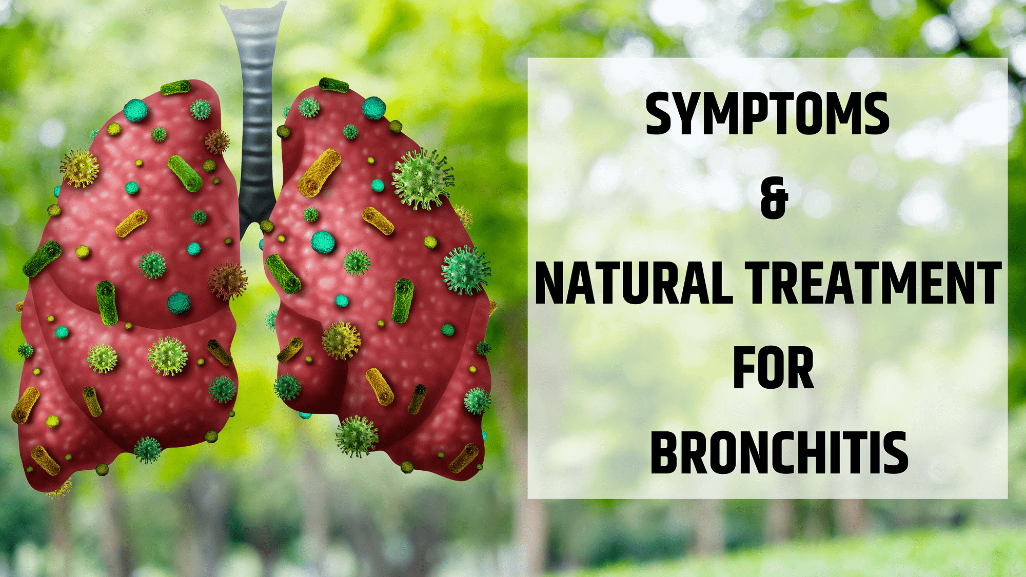 natural treatment for bronchitis