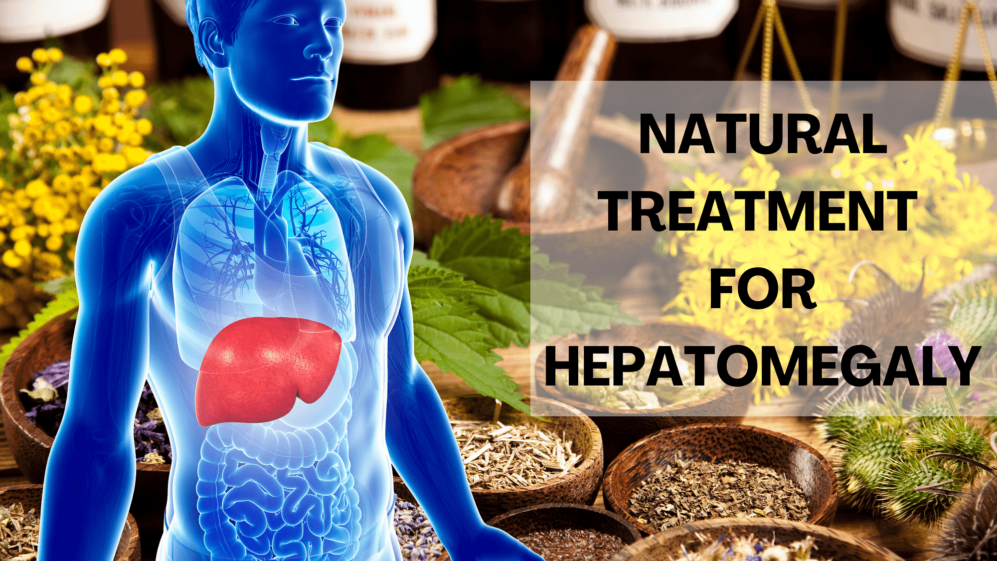 natural treatments for hepatomegaly